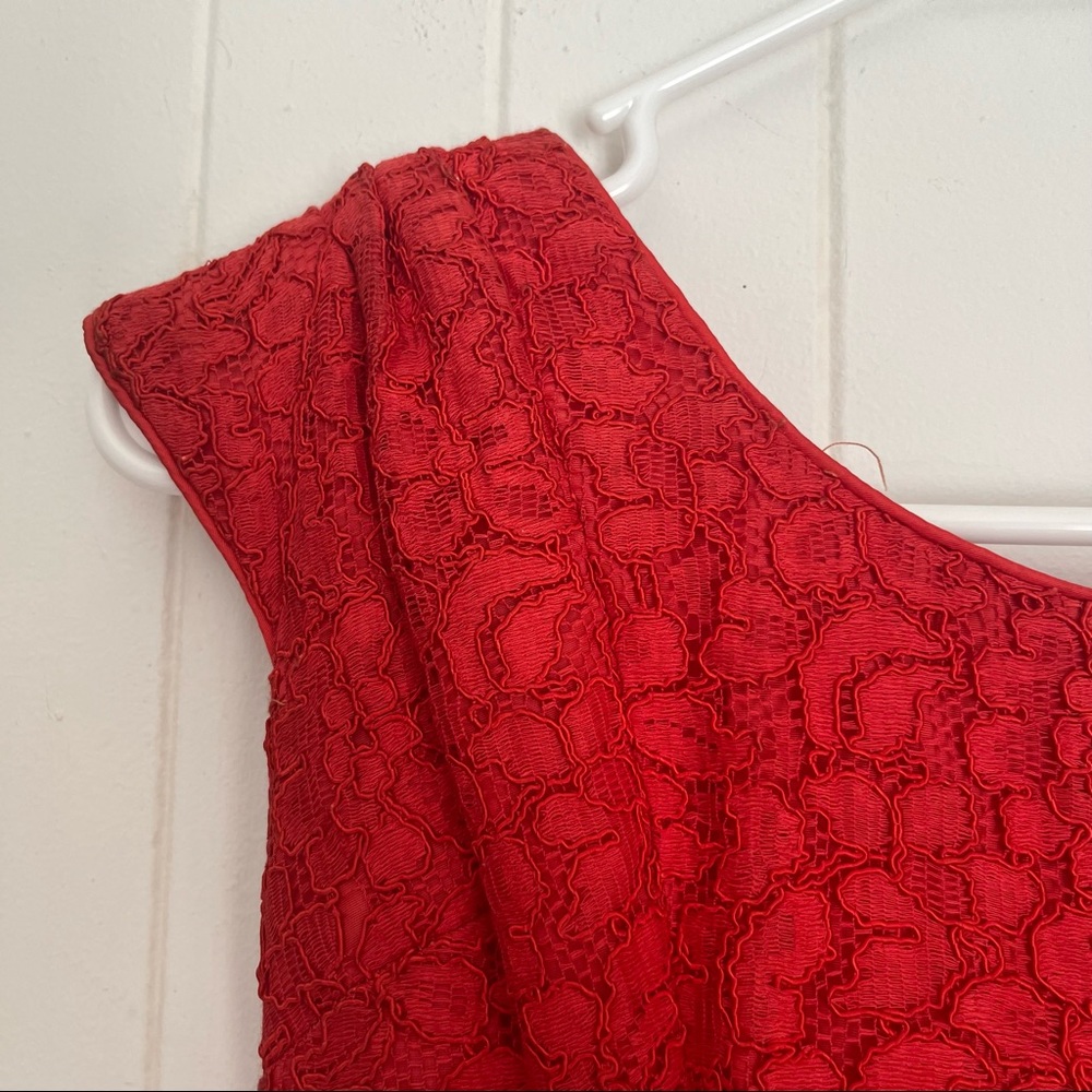 Vintage Red Lace Dress - Picture 9 of 13